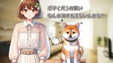 犬の臭いがすぐ消える！部屋用の定番消臭法を紹介！